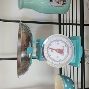 Pioneer Woman  Scale